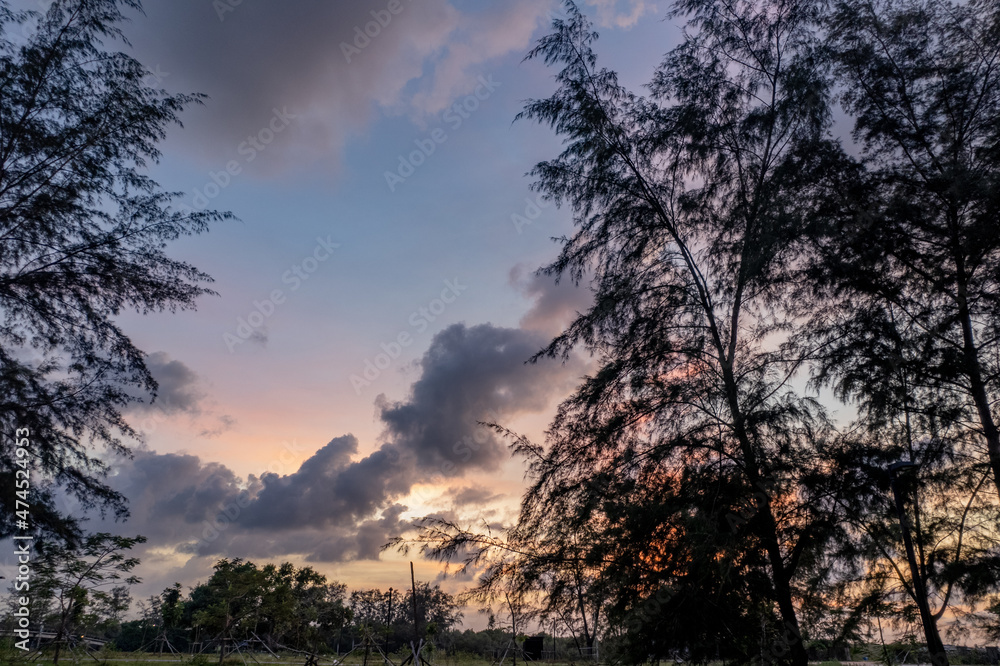 summer picture with beautiful colorful sunset , a wonderful place of strength and energy, peace, harmony and quiet summer picture with beautiful colorful sunset , a wonderful place of strength and energy, peace, harmony and quiet