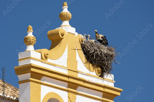 facade detail with a stork nest of the United Pentecostal Church in Portimão, algarve,  photo