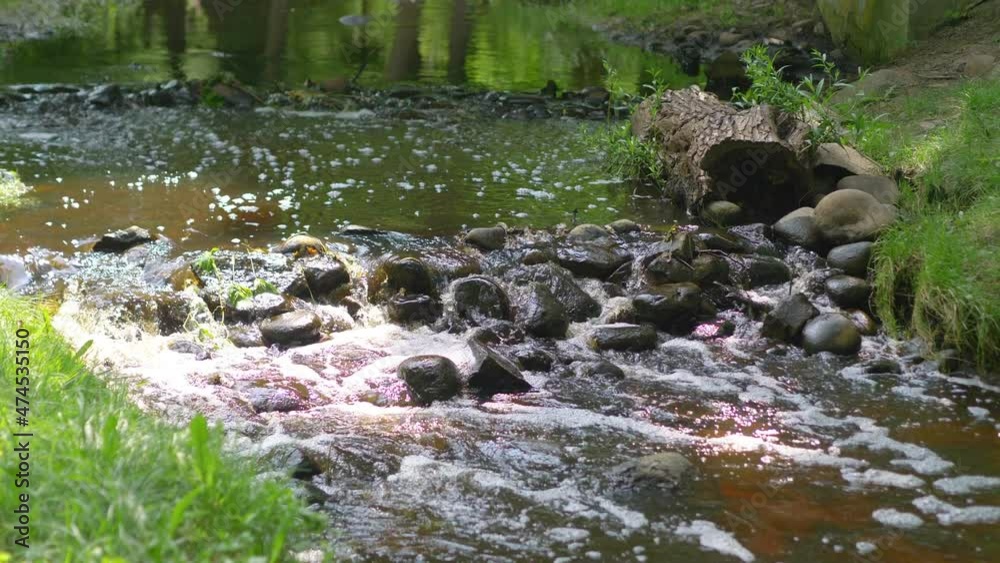 Natural clean origin water flowing in the forest in 4k slow motion 60fps Natural clean origin water flowing in the forest in 4k slow motion 60fps