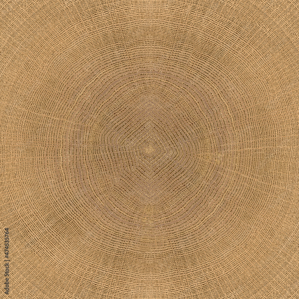 End Grain Texture At Marion Rosenthal Blog