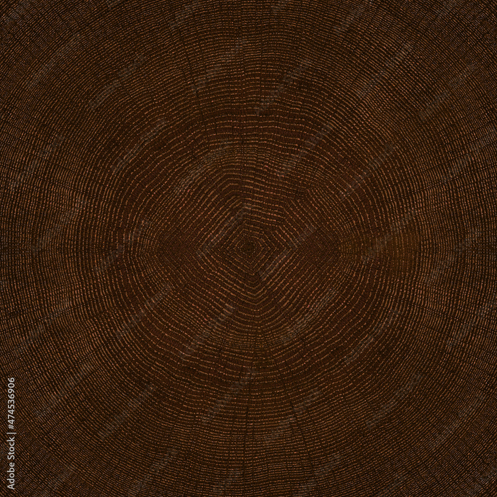 Fototapeta premium End grain oak wood veneer texture