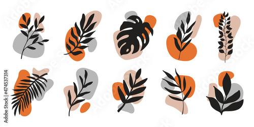 Vector hand drawn leaves with colorful various organic shapes  isolated on white background. Botanical icon with spots and branches. 