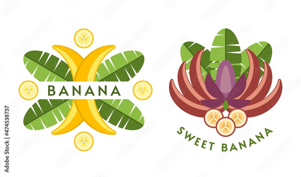 Set of logos, emblems, badges with yellow, red bananas, banana flowers, leaves, slices, bunch of bananas. Isolated vector illustration. Good for decoration of food package, creation of stickers. Flat