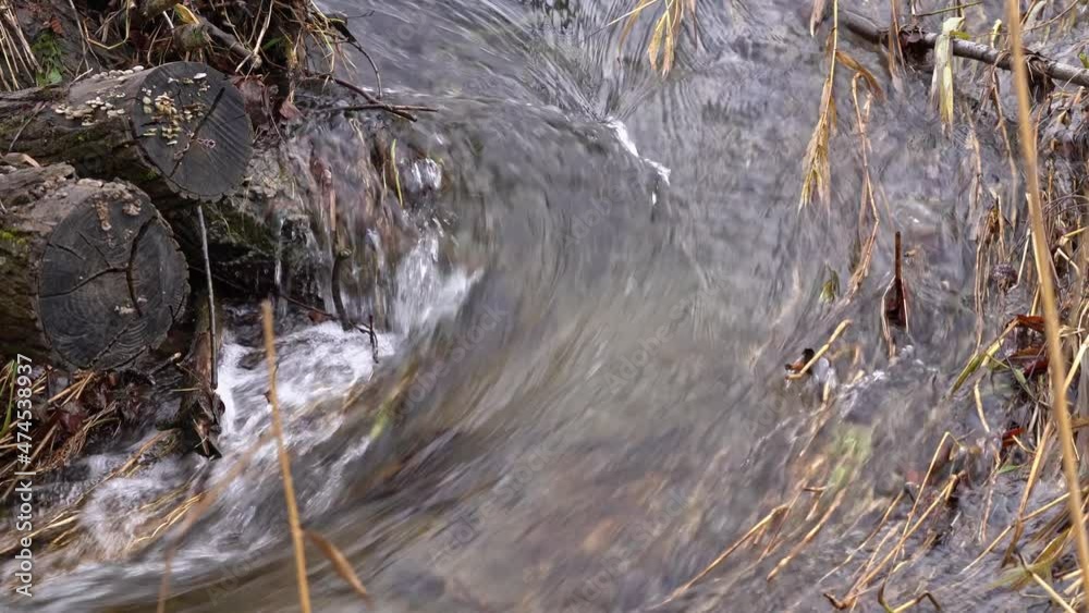 Little rapid at preserve area neat the airport on a cloudy winter day. Movie shot December 12th, 2021, Zurich, Switzerland. Little rapid at preserve area neat the airport on a cloudy winter day. Movie shot December 12th, 2021, Zurich, Switzerland.