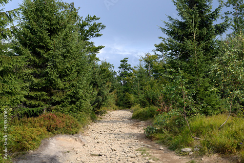 Beskid Śląski