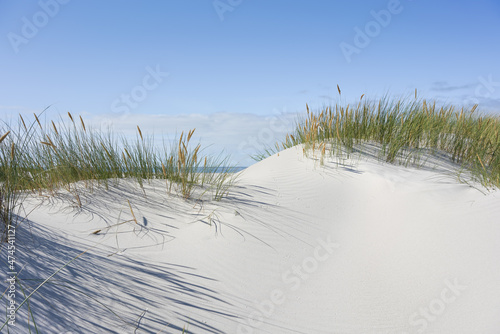 Fototapeta Naklejka Na Ścianę i Meble -  Dünenlandschaft an der Nordseeküste	