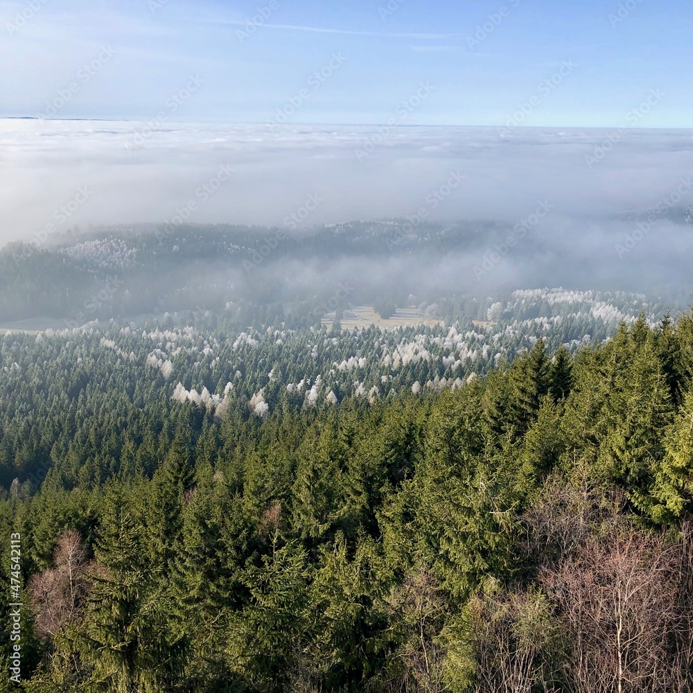 Obraz premium Großer Hermannsberg im Herbst