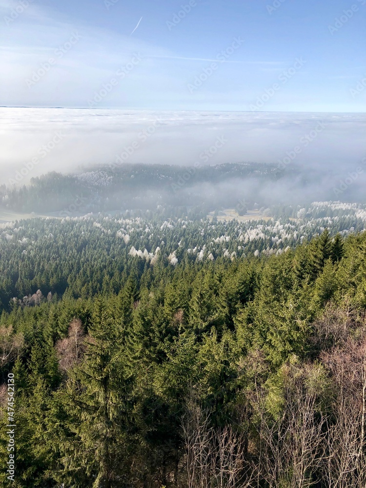 Obraz premium Großer Hermannsberg im Herbst