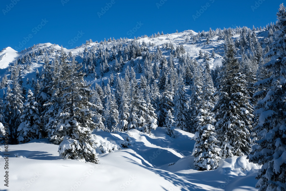Perfekt Winter Day in the Valley of Montafon, Vorarlberg, Austria Perfekt Winter Day in the Valley of Montafon, Vorarlberg, Austria