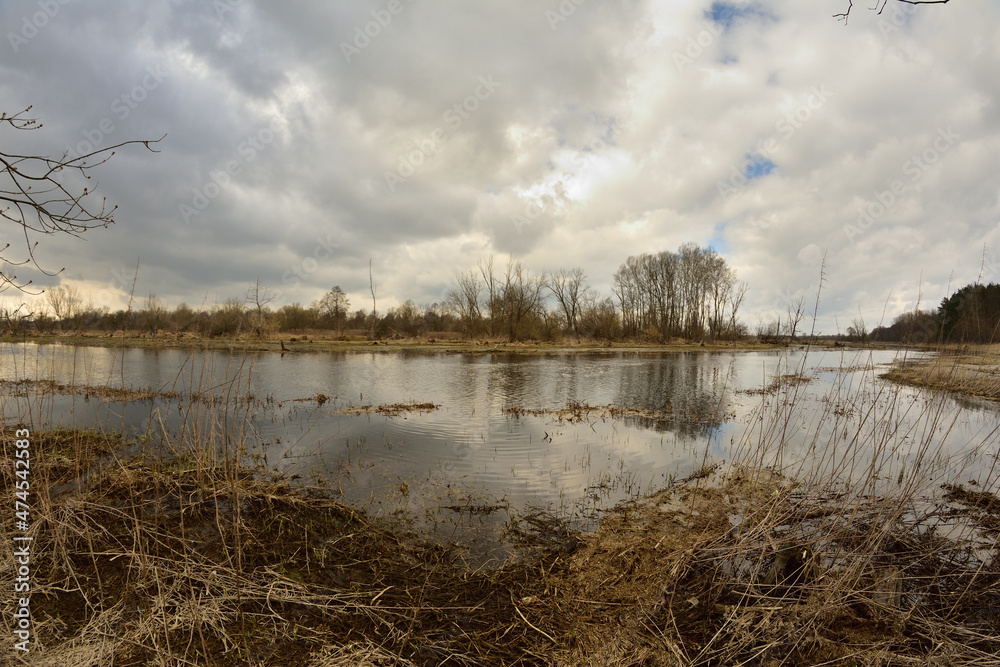 High water in the river floods meadows and agricultural wastelands on a cloudy spring day. High water in the river floods meadows and agricultural wastelands on a cloudy spring day.