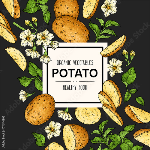 Vector hand drawn background with organic potato