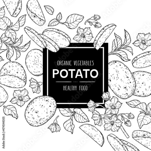Vector hand drawn background with potato. Organic plant drawing with unpeeled whole potato, slices, halves, flower and branch