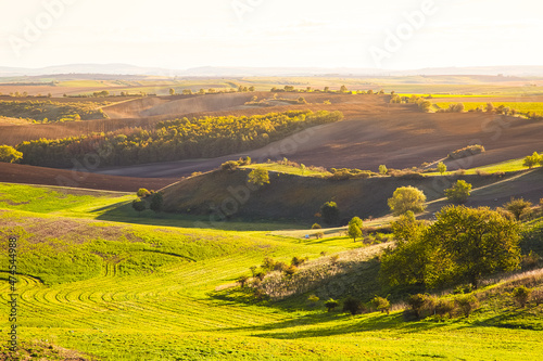Fototapeta Naklejka Na Ścianę i Meble -  Agricultural landscape panorama. Moravian fields, Moravia, Czech Republic, around the village Kyjov
