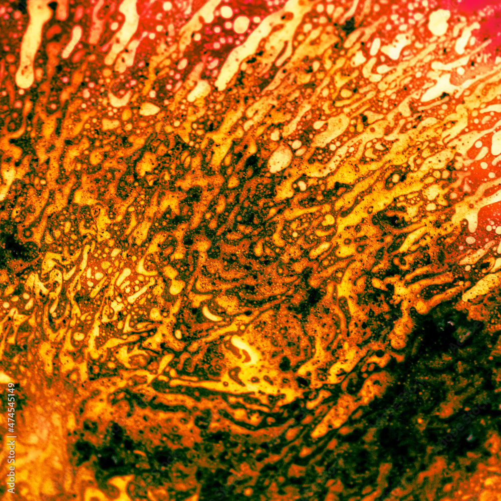 interstellar impression from the lunch plate interstellar impression from the lunch plate