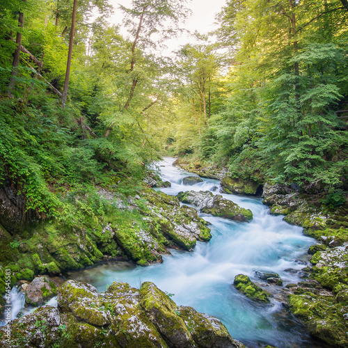 mountain river in the forest