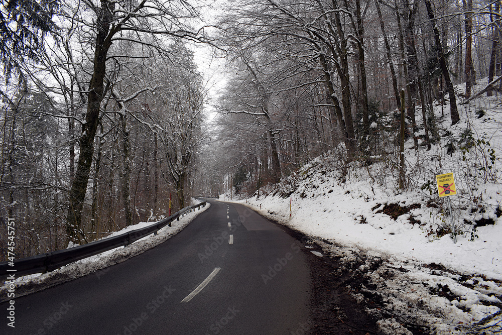 road in winter Slovenia in winter road in the forest road in winter Slovenia in winter road in the forest