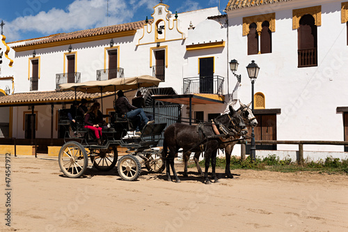 Grupo de personas en carreta de caballos en el Rocío, Huelva.	2