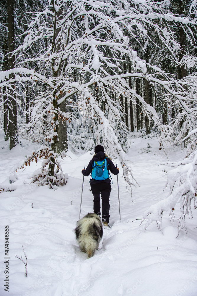 Frau mit Schneeschuh beim Schneeschuhwandern im Schnee im Wald im Winter