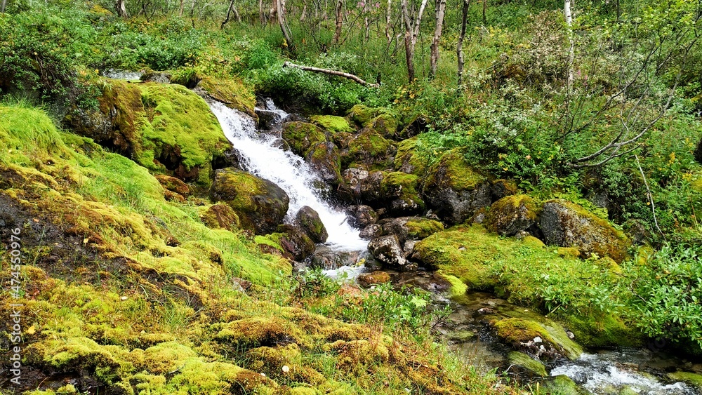 Горный ручей, водопад