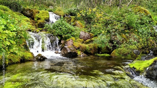 Горный ручей, зелень, водопад