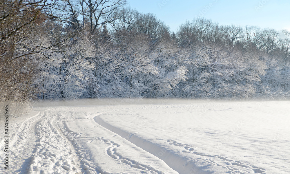 winter landscape forest and fields covered with snow winter landscape forest and fields covered with snow