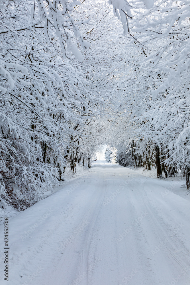 Obraz premium Winter road 