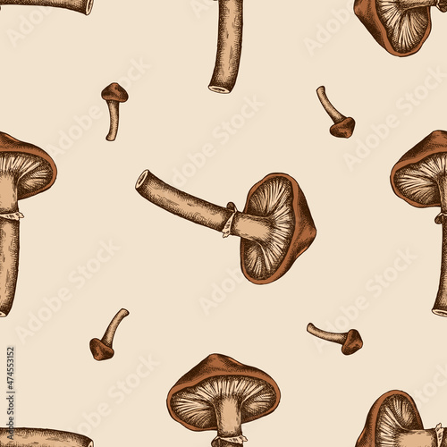 Seamless pattern with hand drawn colored honey agaric
