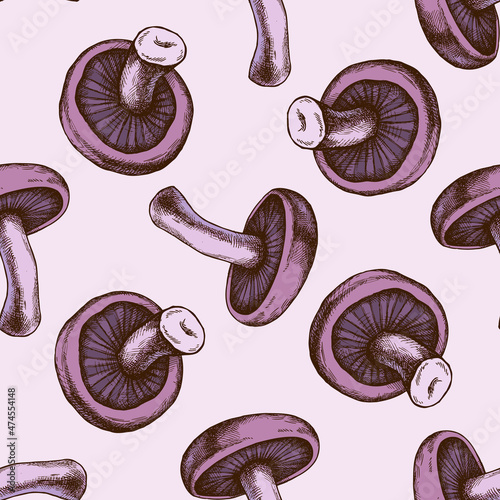 Seamless pattern with hand drawn colored blewit