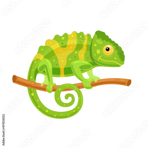 Chameleon on a branch. Funny character  African animal. Vector illustration