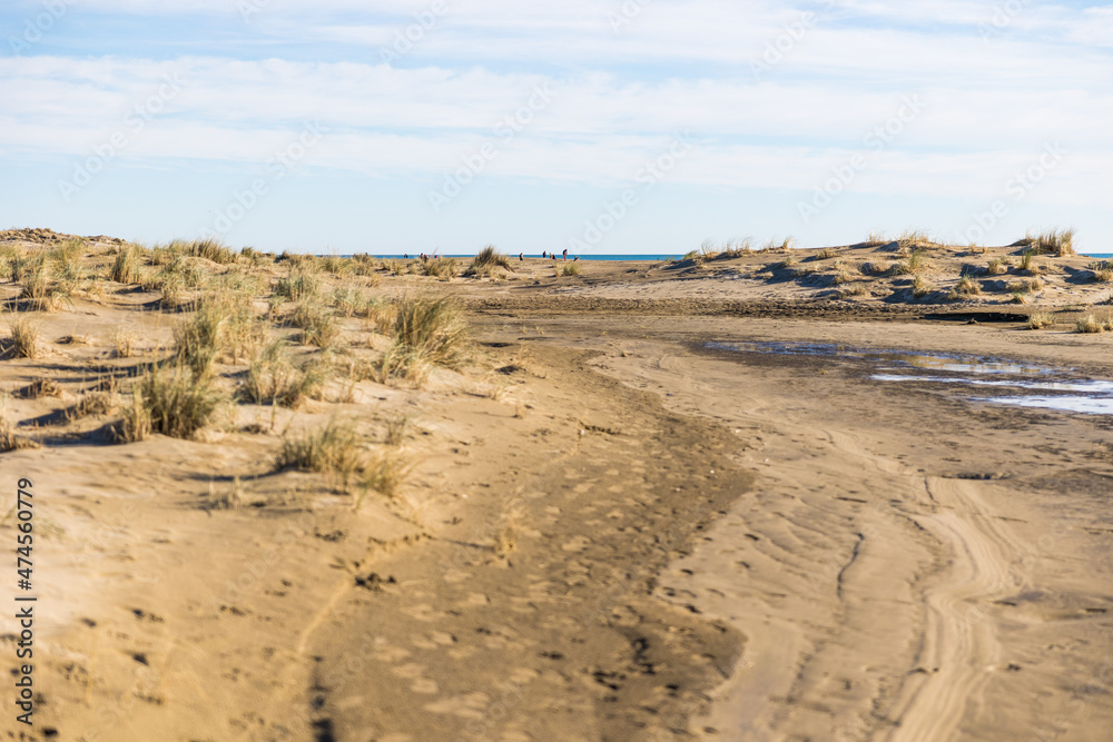 Étendue de dunes de sable et de graminée de la plage de l’Espiguette (Occitanie, France) Étendue de dunes de sable et de graminée de la plage de l’Espiguette (Occitanie, France)