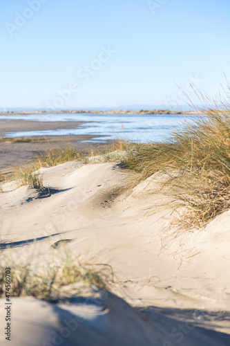 Étendue de dunes de sable et de graminée de la plage de l’Espiguette (Occitanie, France)