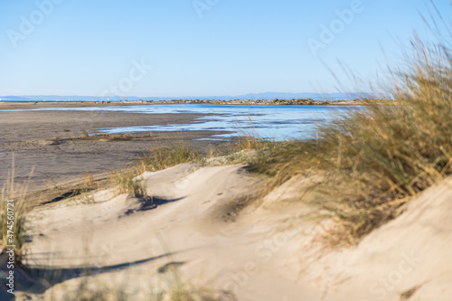 Étendue de dunes de sable et de graminée de la plage de l’Espiguette (Occitanie, France)