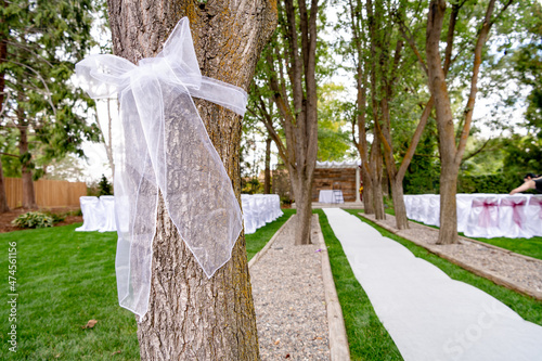 White ribbon on a tree at a wedding venue Fototapet