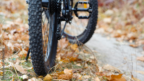 rear wheel closeup. Small sprocket on the mountain bike rear derailleur. Bicycle wheel speed switch details. concepts of renovation, sports, cycling, outdoor activities. autumn leaves under the wheels
