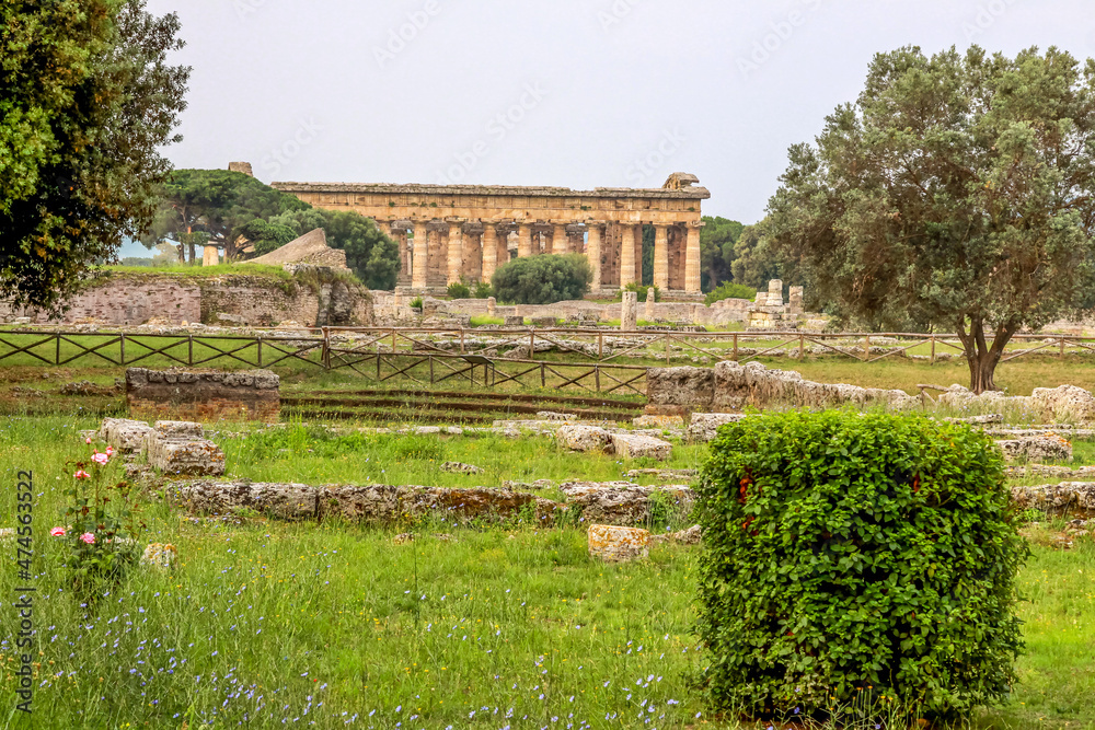 Ruin of a Greek temple at Paestum. Beautiful view of famous Paestum Temples Archaeological UNESCO World Heritage, scenic golden evening light at sunset, Province of Salerno, Campania, Italy