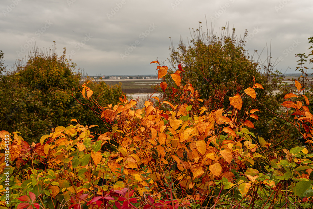 Baie de Somme