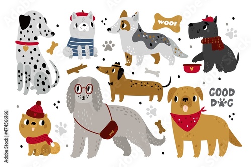 Cute dogs. Funny kids domestic animals. Happy pets characters. Different canine breeds. Dalmatian and bulldog. Isolated corgi and dachshund with accessories. Vector puppies elements set