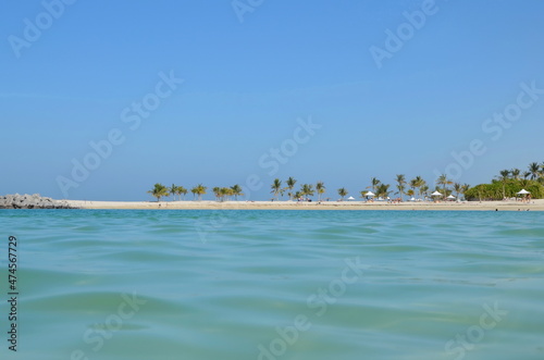 beach with palm trees and blue sky. vacationers and swimming people. place for travel and tourism. Backgrounds