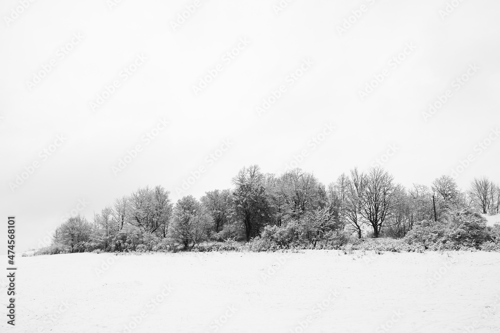 Obraz premium Winter