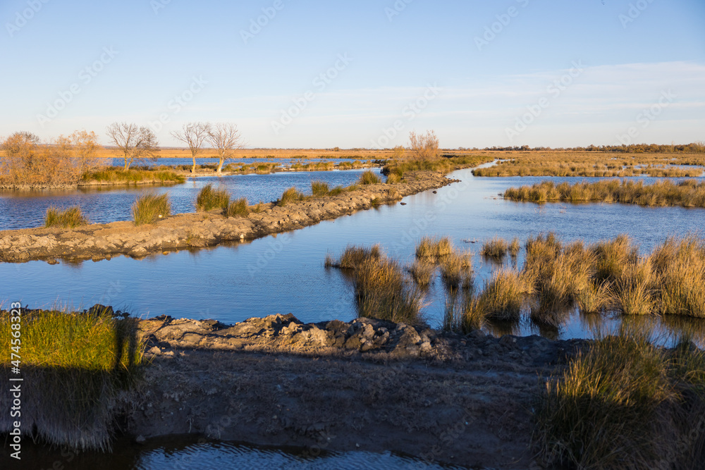 Paysage marécageux de la Petite Camargue autour de la Tour Carbonnière près d’Aigues-Mortes (Occitanie, France)