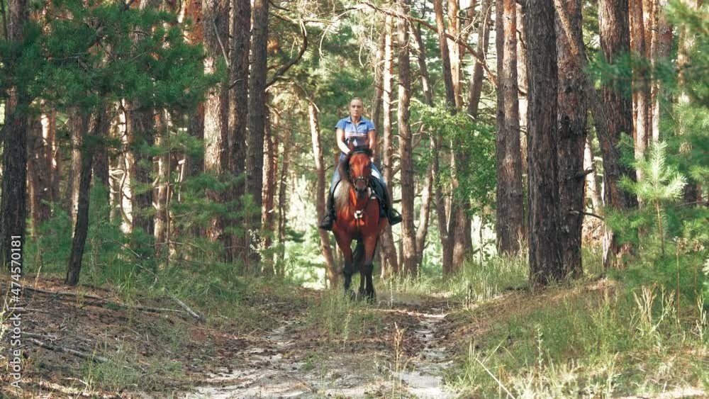 Horse riding. Equitation. Young woman, horseman is riding brown horse in the forest, on summer sunny day, in sun rays.