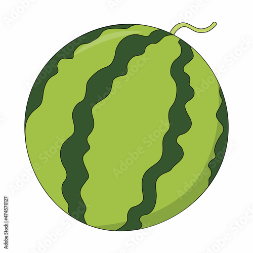 Vector illustration of watermelon. Fruit isolated on white background. Berry in cartoon style