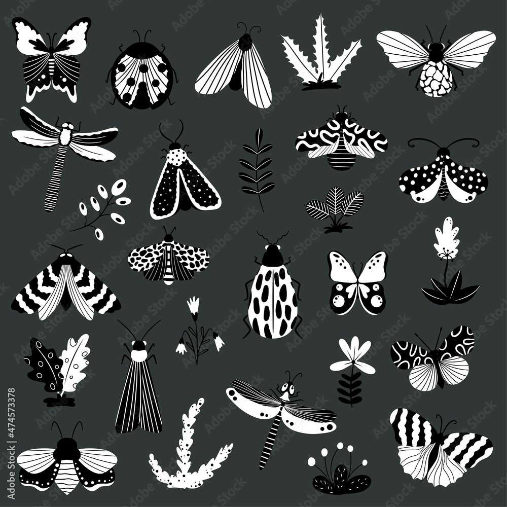 Butterflies, insects and flowers, hand-drawn collection of various elements, isolated elements on a white background Butterflies, insects and flowers, hand-drawn collection of various elements, isolated elements on a white background