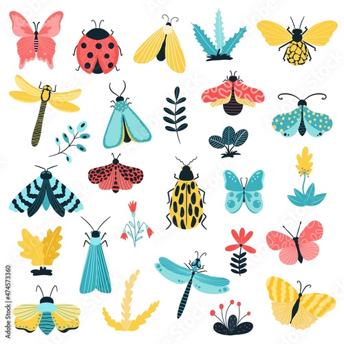 Hand-drawn butterflies, insects and flowers. Moth wings and spring colorful flying insect and beetle. Vector on a white background.