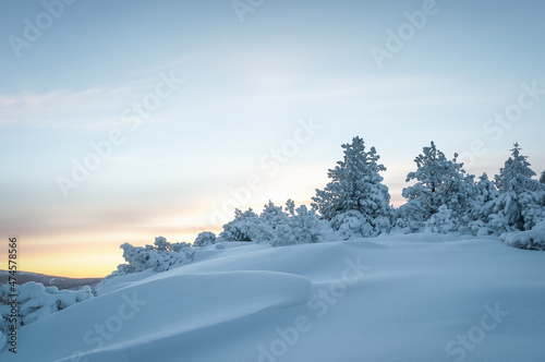 Winter. Landscape of high mountains with snow white peaks and forests. A panoramic view. Wallpaper background. Natural scenery. Location place Carpathian, Ukraine, Europe