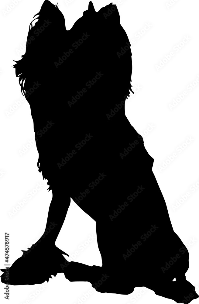 Chinese Crested Dog Silhouettes SVG Chinese Crested Dog Clipart