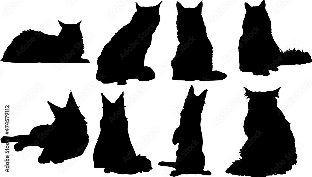 Maine Coon Cat Silhouettes SVG Maine Coon Cat Clipart Stock Vector