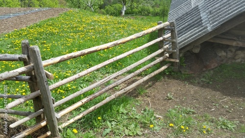 fence in a field