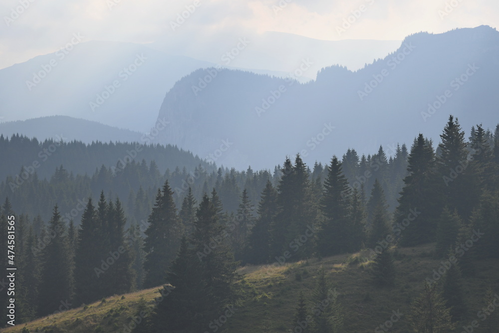 Mehrere Schichten von Bergspitzen mit Tannenbäume bedeckt  zwischen Wolken.