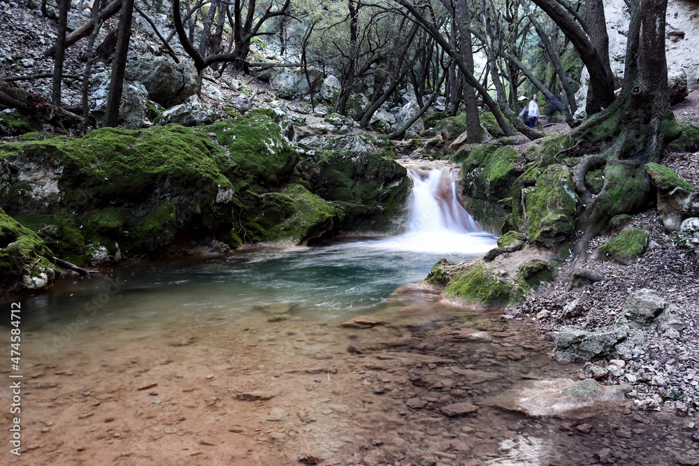Fototapeta premium waterfall in the woods
